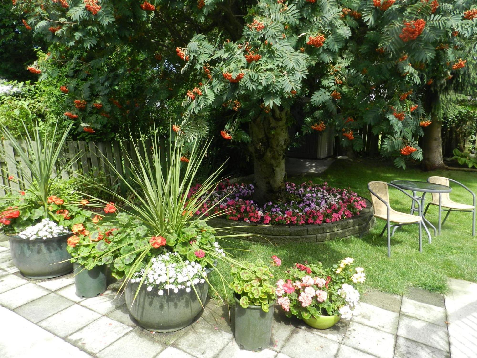 Bed & Breakfast Serenity