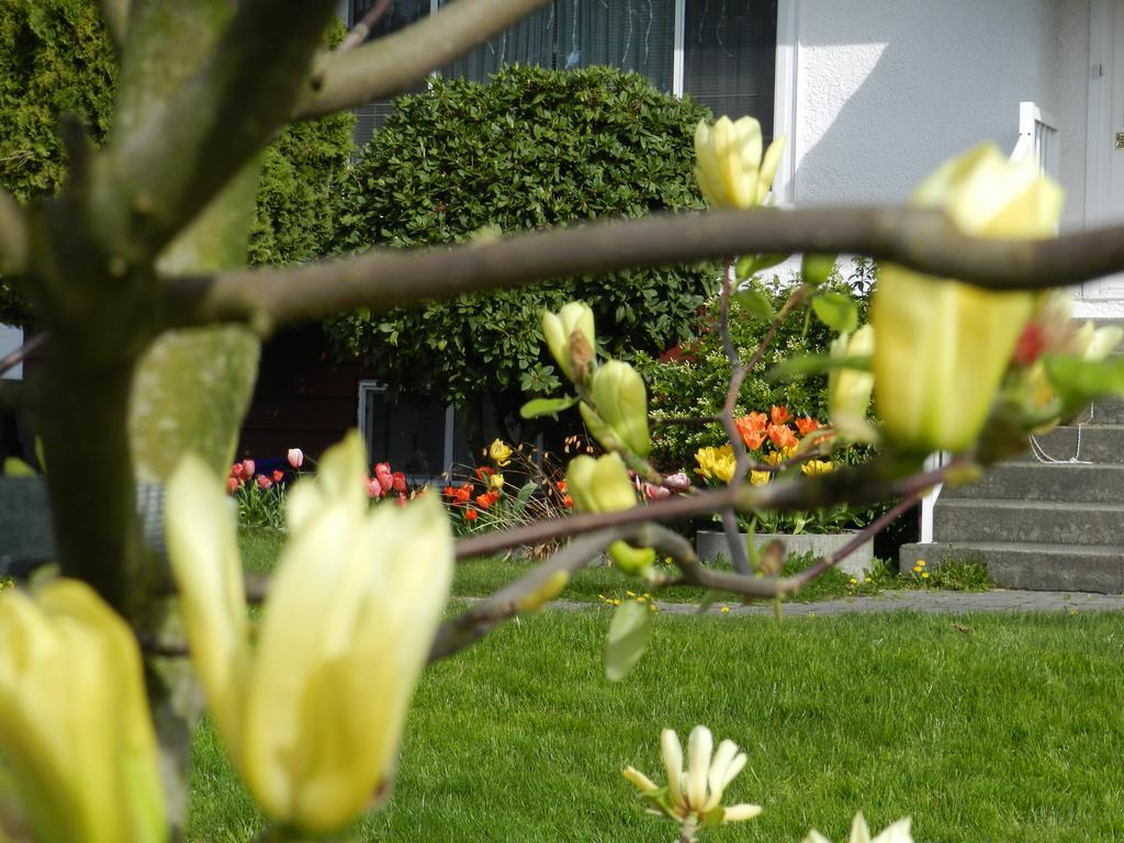 Bed & Breakfast Serenity 2*
