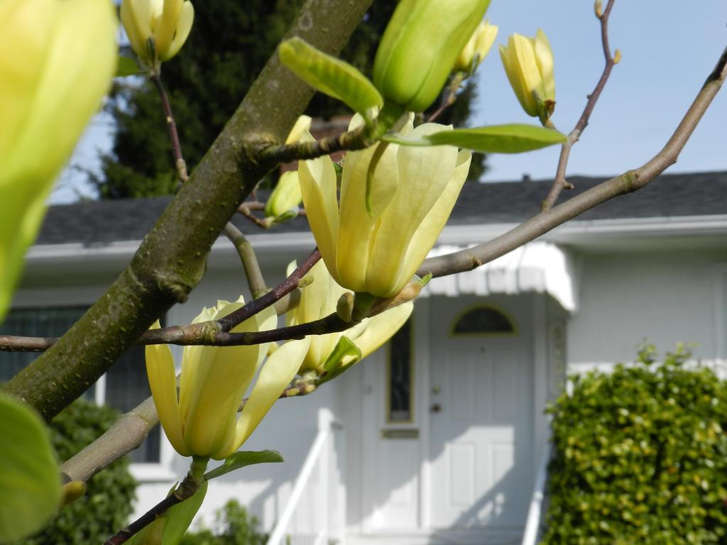 Bed & Breakfast Serenity Burnaby